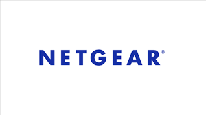 Netgear (Business)